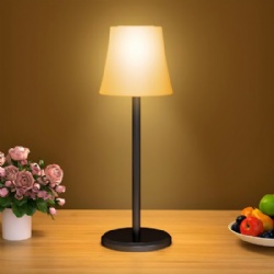 Led Table Lamp